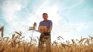 <strong>老农</strong>夫剪影面包师拿着一个金色的面包和面包在成熟的麦田对抗蓝天。 生活方式缓慢